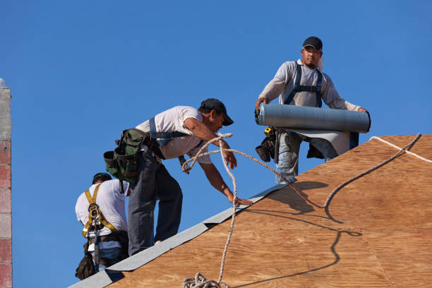Best Flat Roof Repair Services  in Hettinger, ND