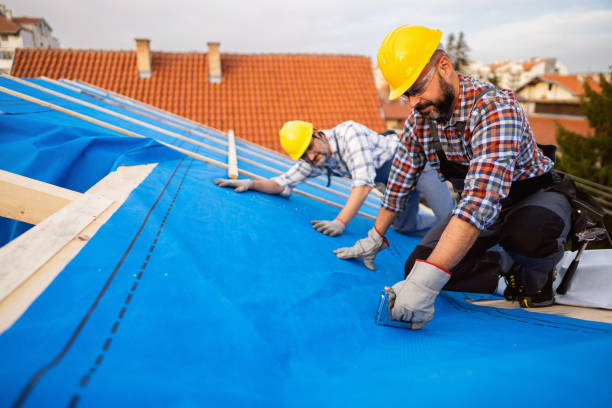 Best Local Roofing Companies  in Hettinger, ND