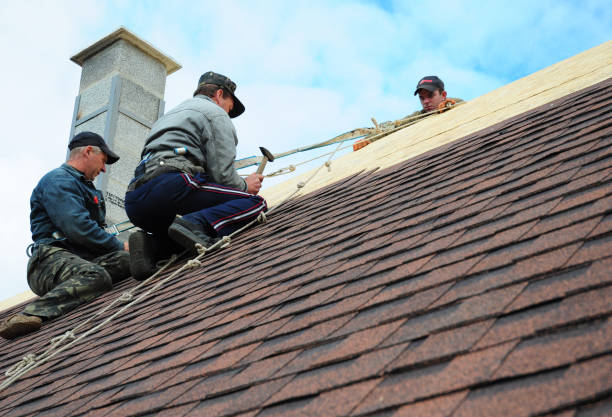 Best Roof Gutter Cleaning  in Hettinger, ND
